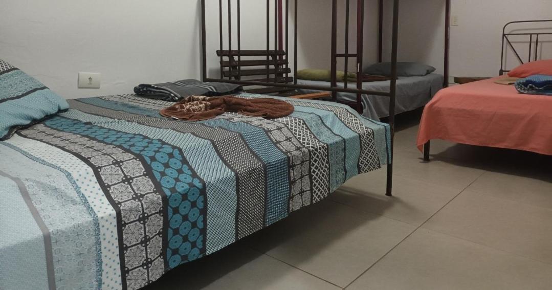 Girassol Hostel Vila Madalena ساو باولو المظهر الخارجي الصورة